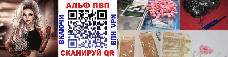 A PVP СК  Саранск 