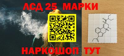 гашик Тверь