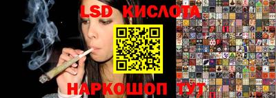 гашик Тверь